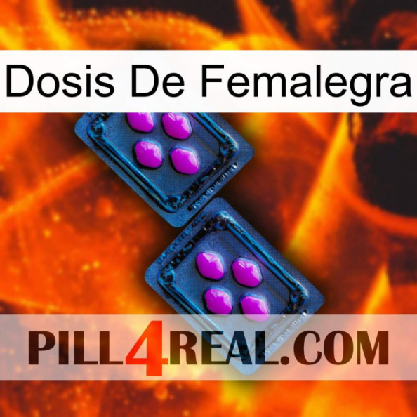 Femalegra Dosage 03.jpg